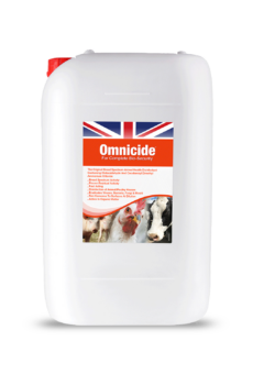 OMNICIDE