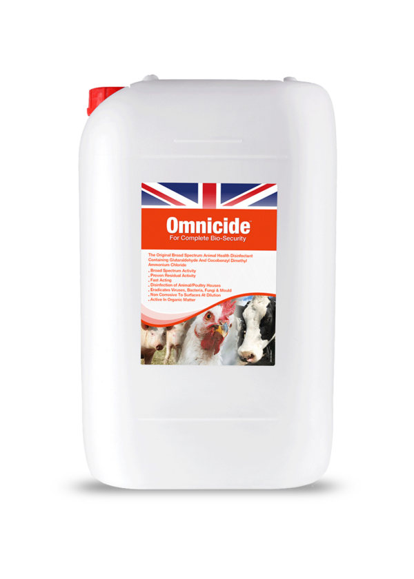 OMNICIDE